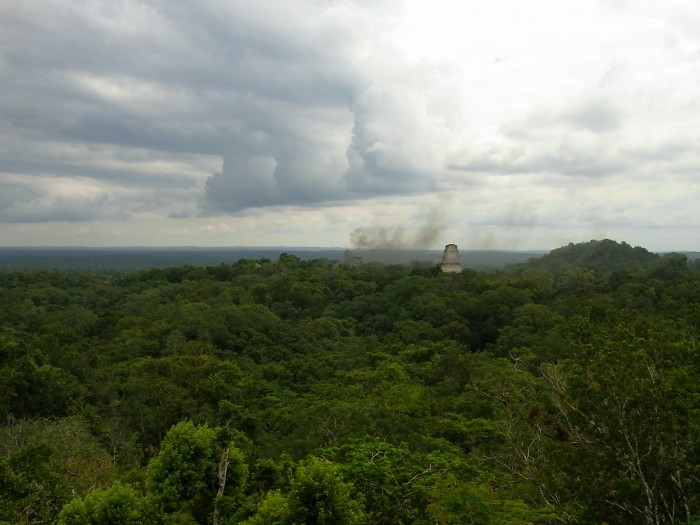 （写真１）グアテマラ・ティカル遺跡　ジャングルから頭を出すピラミッド神殿