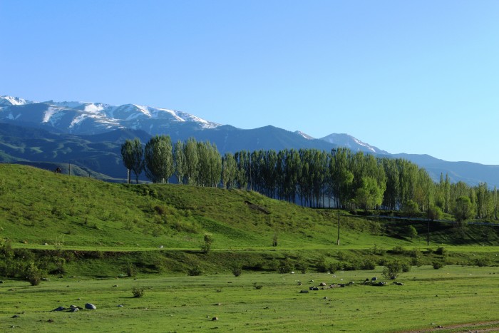 深緑と青空のコントラストが美しい夏のキルギス