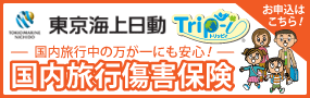 国内旅行傷害保険