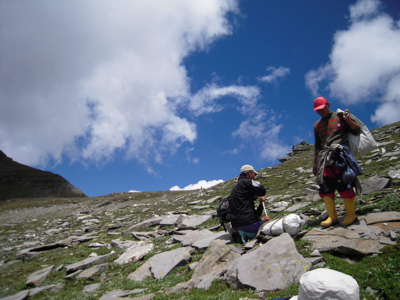標高4,000mでの薬草採集風景