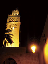 morocco_kiji019_05