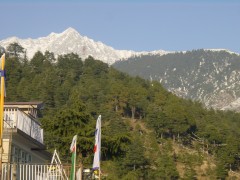 ダラムサラから眺めるダウラール山脈