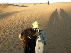 
ラクダに揺られながら砂漠を進む 
