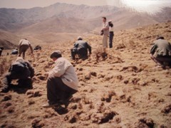 tibet_ogawa094_3 tibet_ogawa094_3