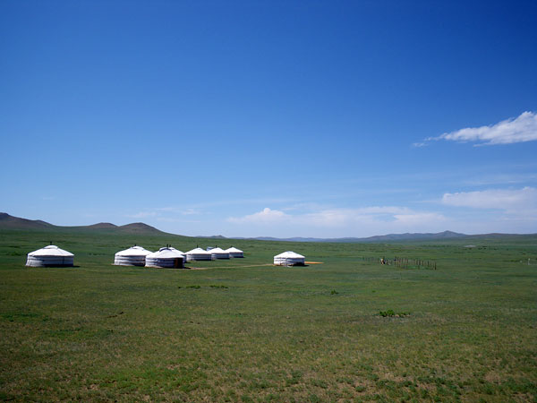6月のモンゴル（撮影は6月下旬）
