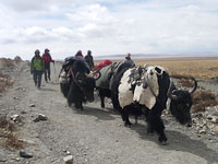 tibet_tenjo030_06-1