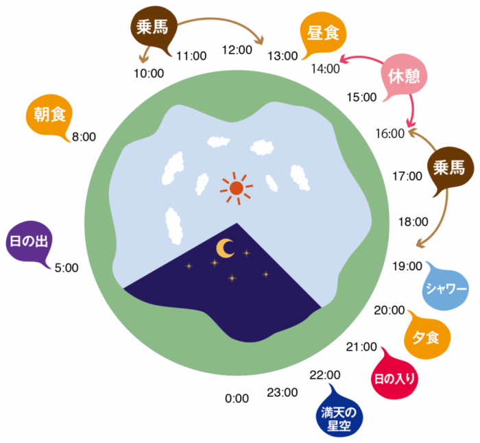 hoshinoie_piechart