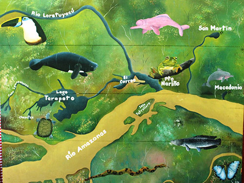 コロンビアアマゾン河流域の絵地図　（残念ながら写真がない）ピンク色のカワイルカも描かれています