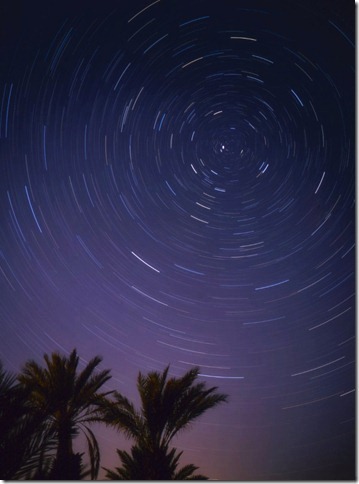 テントサイトから望む満天の星空