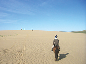 砂丘での乗馬