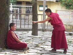 tibet_ogawa148_4