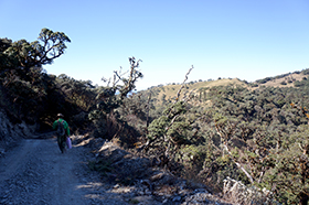 登山道はとてもゆるやか