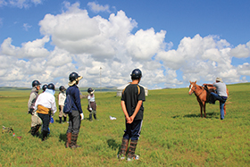 事前レクチャーで馬を学ぶ 事前レクチャーで馬を学ぶ