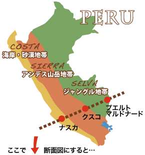 ペルー断面図