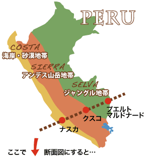 ペルー エリア別情報 海岸 砂漠 アンデス ジャングル 多様性に触れる旅へ ペルー 風の旅行社