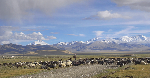 チベットの遊牧民