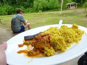 ベリーズ風チキンカレー