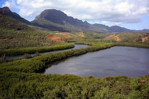 水と緑あふれるカウアイ島