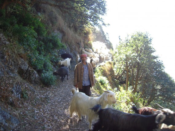tibet_ogawa167_3