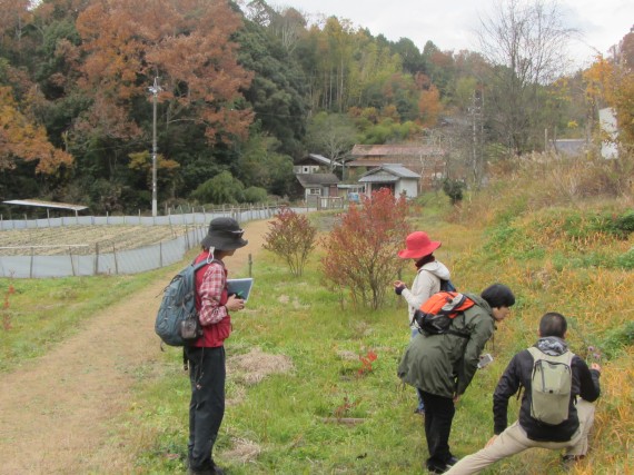 畑にはイノシシ避けの柵が