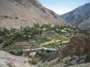 tibet_ogawa172-300x224
