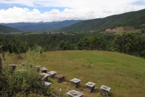 蜂の巣箱。ここにソバなど蜜を集められます。