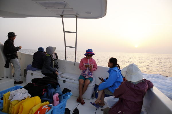 夕日の海で探鳥する参加者