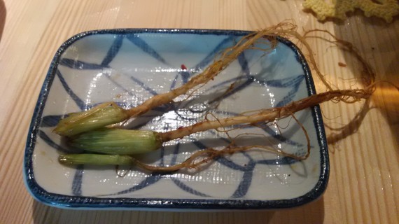 パクチーの根っこのお漬物 パクチーの根っこのお漬物