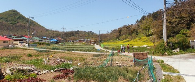 離島での観察風景