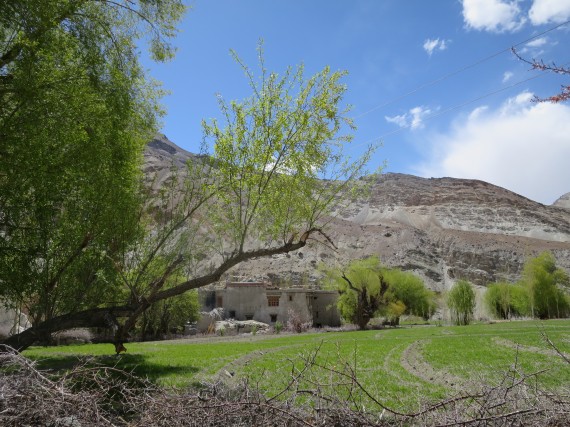 tibet_ogawa179_3