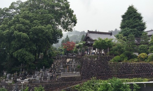 雨の自慶院さんで探鳥開始