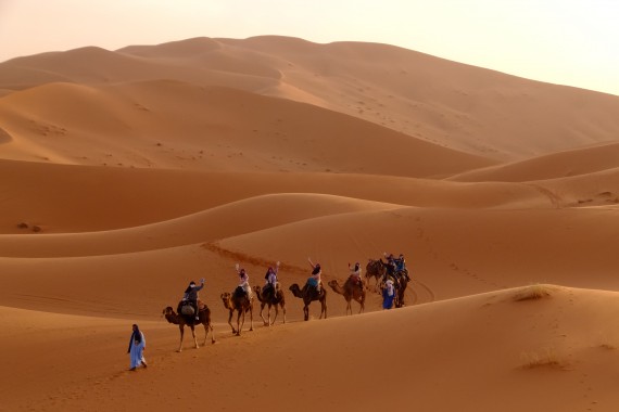 ラクダに乗って砂漠を進みます
