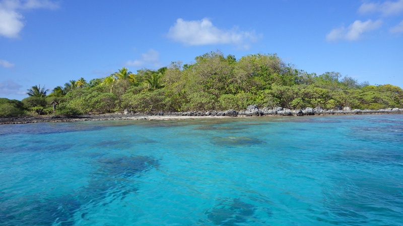 環礁の“バードアイランド”