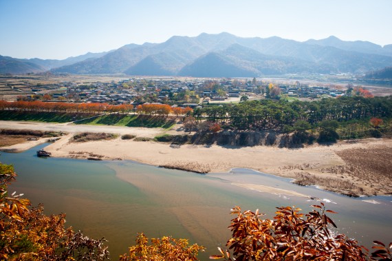 大自然に囲まれる安東河回村、11月下旬が紅葉の見ごろ