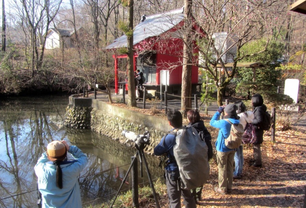 紅梅が咲いてきた小宮公園