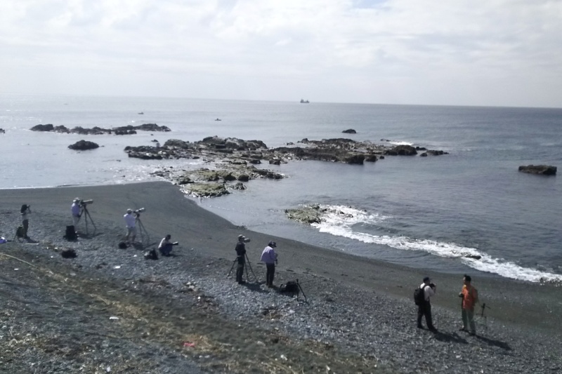 照ヶ崎海岸