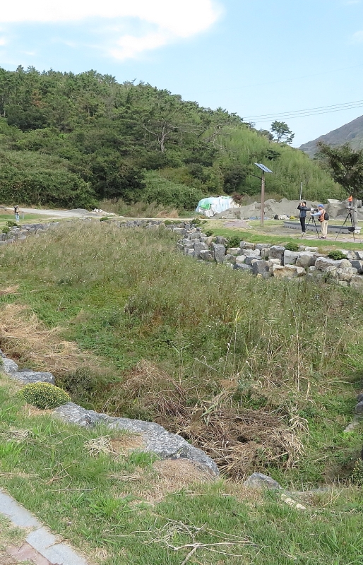 韓国での観察風景