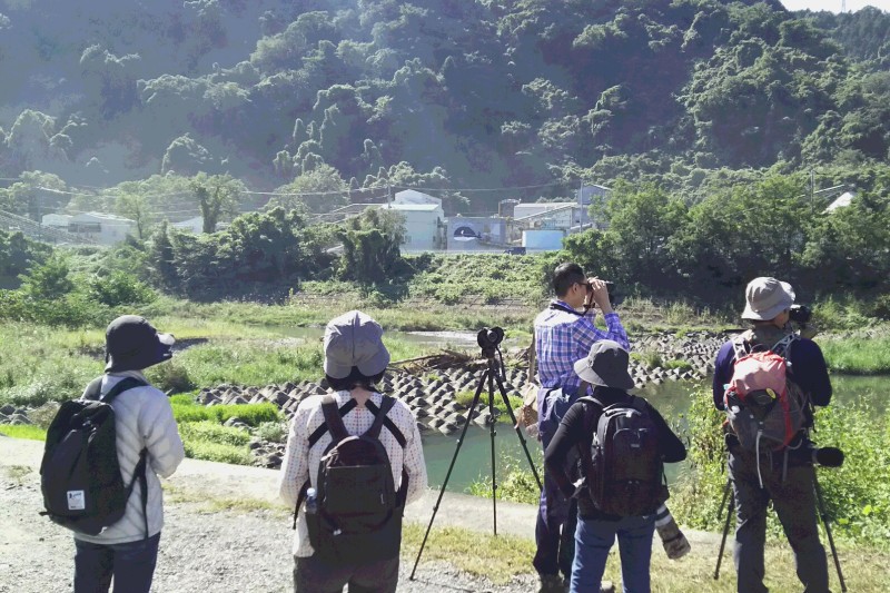 相模川の中流域で探鳥