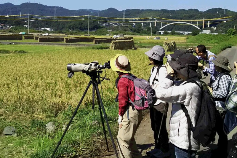 遠くの鳥はスコープで観察！