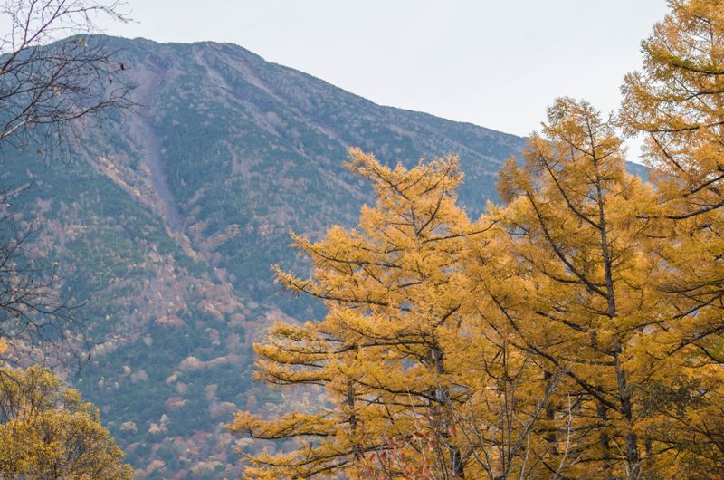 男体山