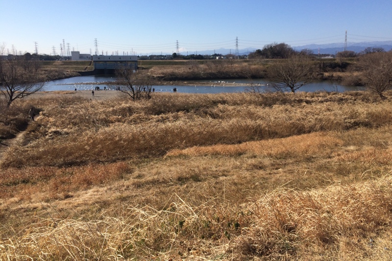 越辺川 越辺川