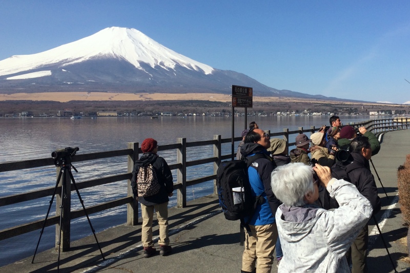 富士山