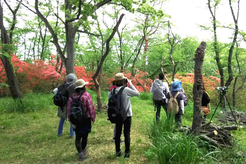観察風景 観察風景