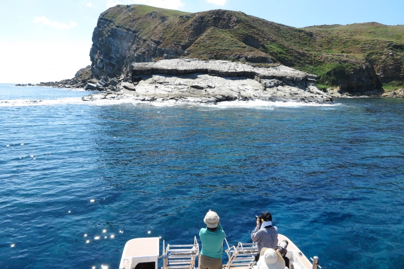 仲ノ神島