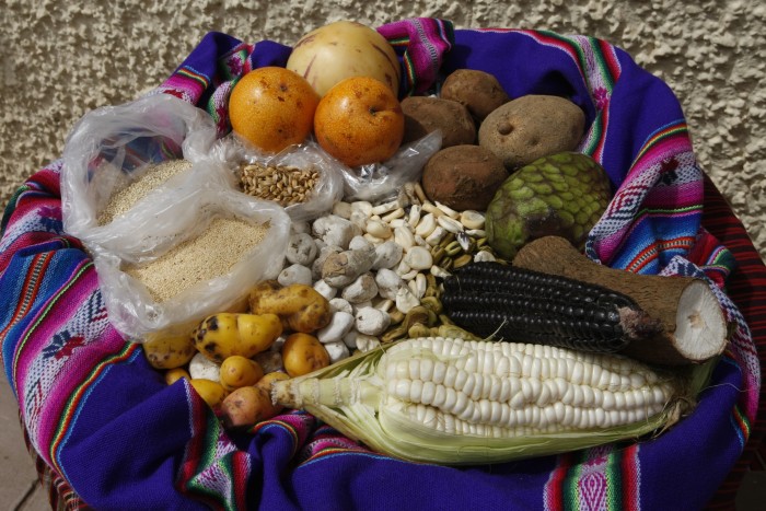 ペルーの食材は三つの地域（山、ジャングル、海岸）で異なる