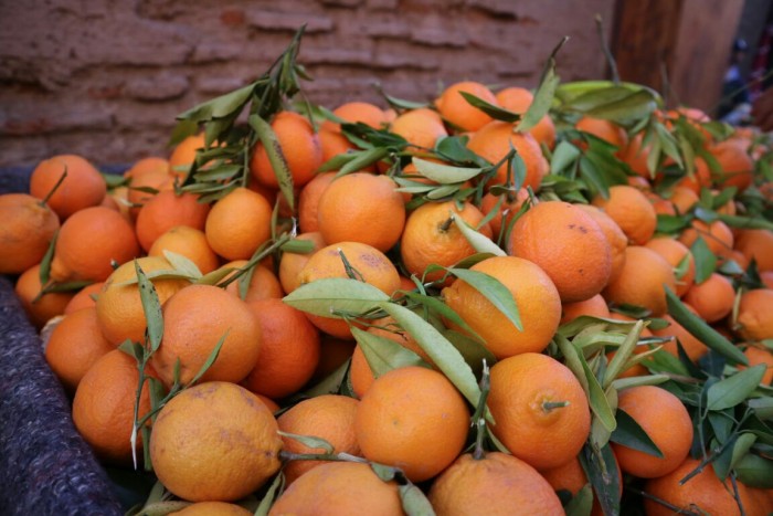 収穫シーズンのオレンジ。絞りたてジュースはフナ広場の“名物”（モロッコ）