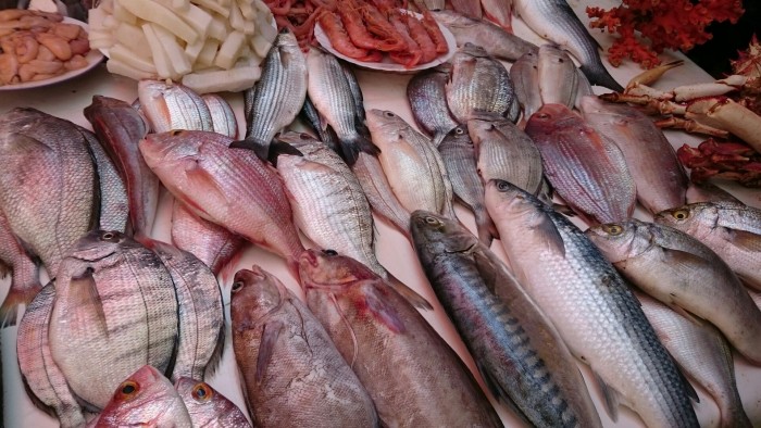 魚市場には日本でもお馴染みの魚も並んでいます。（モロッコ）