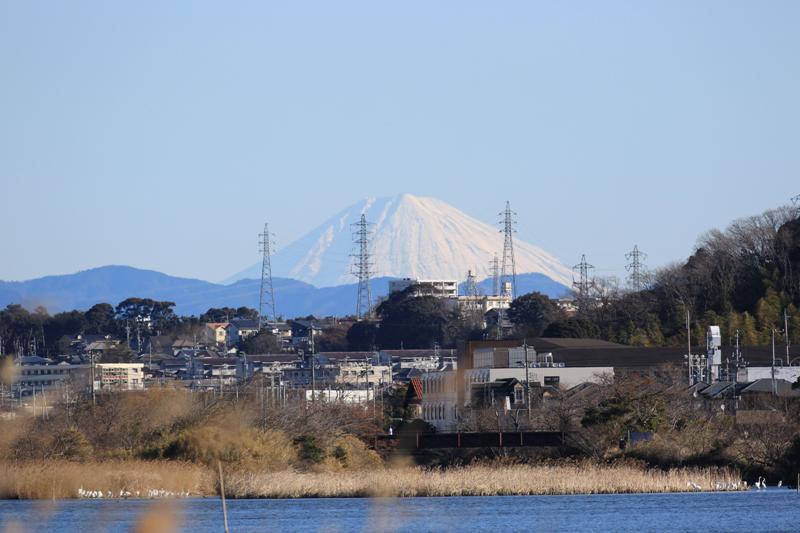 富士山がくっきり！１日中見えていました！