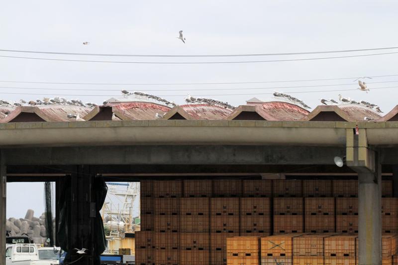 建物に集合