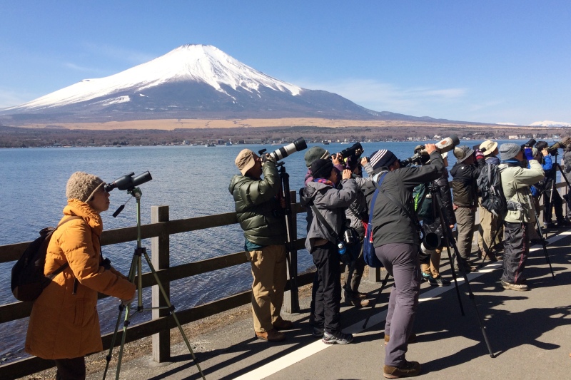 山中湖と富士山